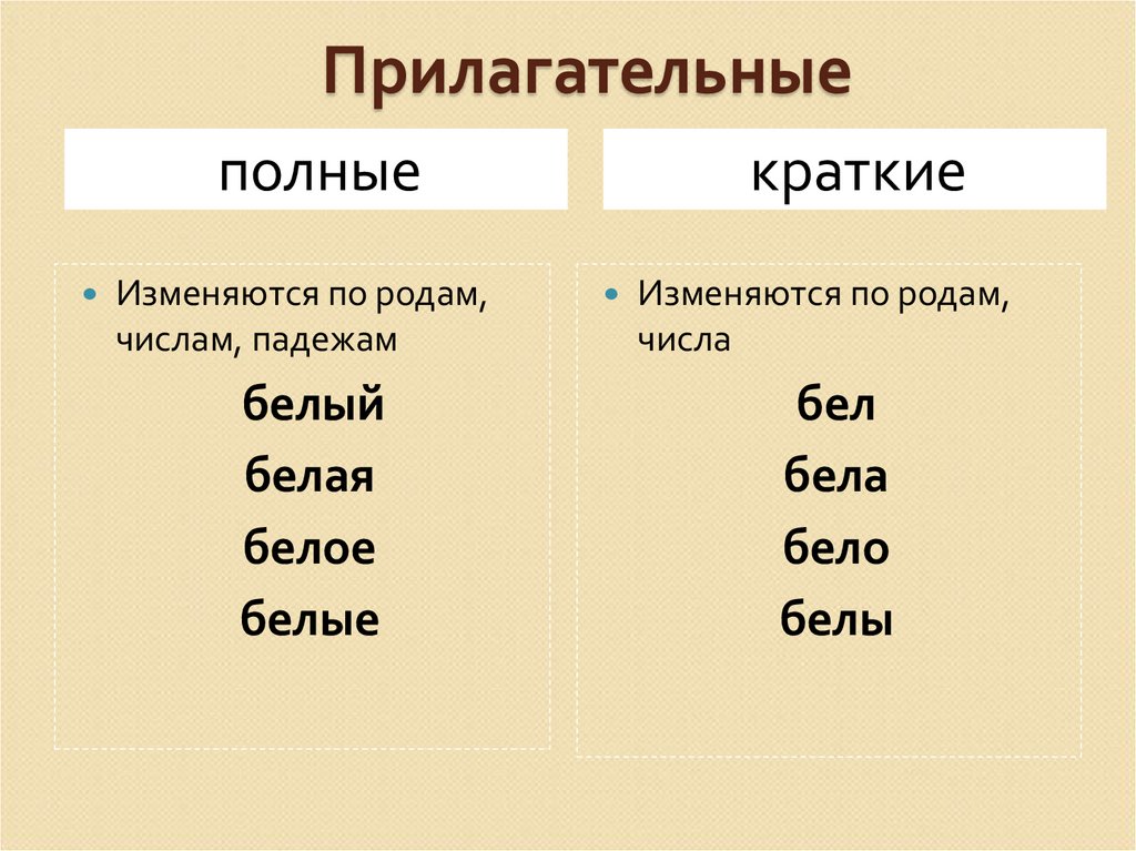 Полные и краткие прилагательные схема