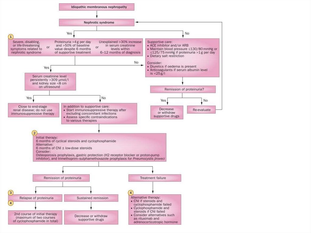 Differential diagnosis of nephrotic and nephritic syndrome - online ...