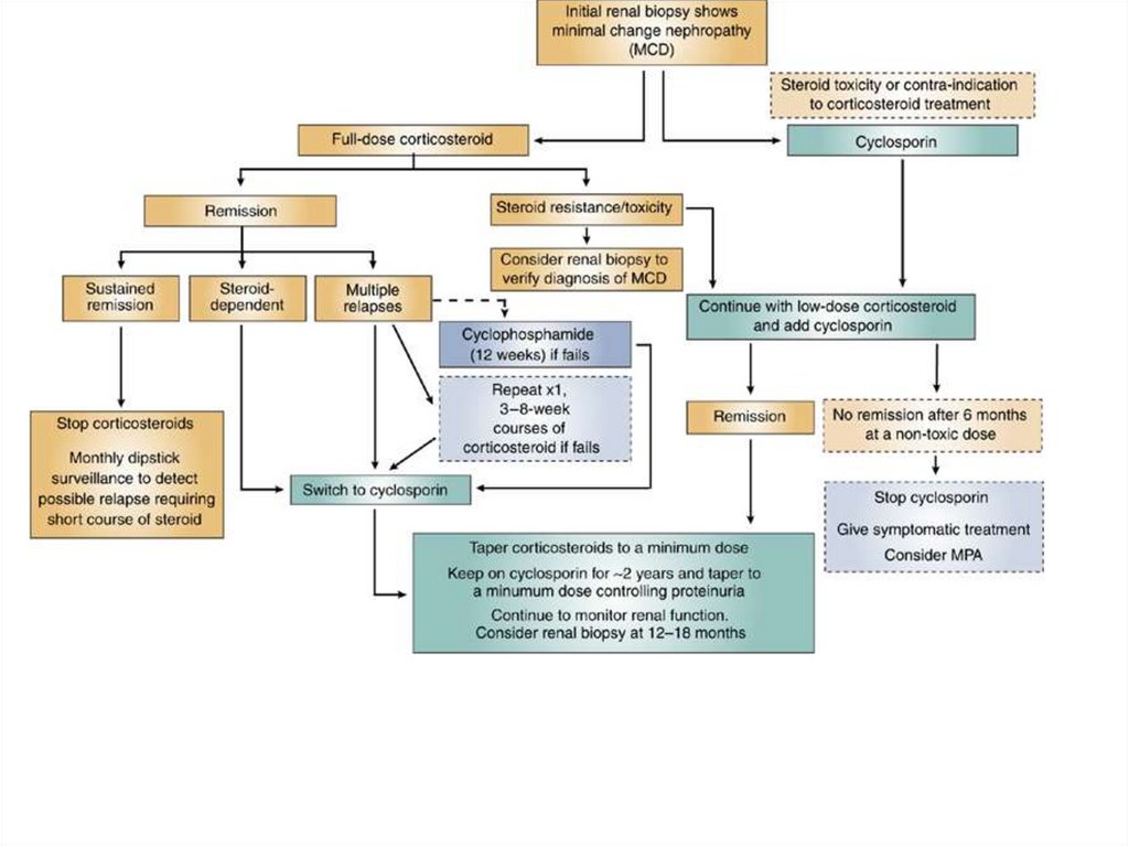 Differential diagnosis of nephrotic and nephritic syndrome online