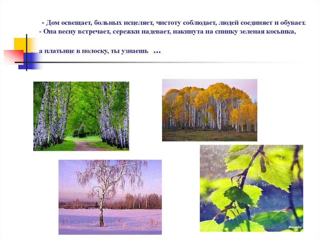 - Дом освещает, больных исцеляет, чистоту соблюдает, людей соединяет и обувает. - Она весну встречает, сережки надевает,