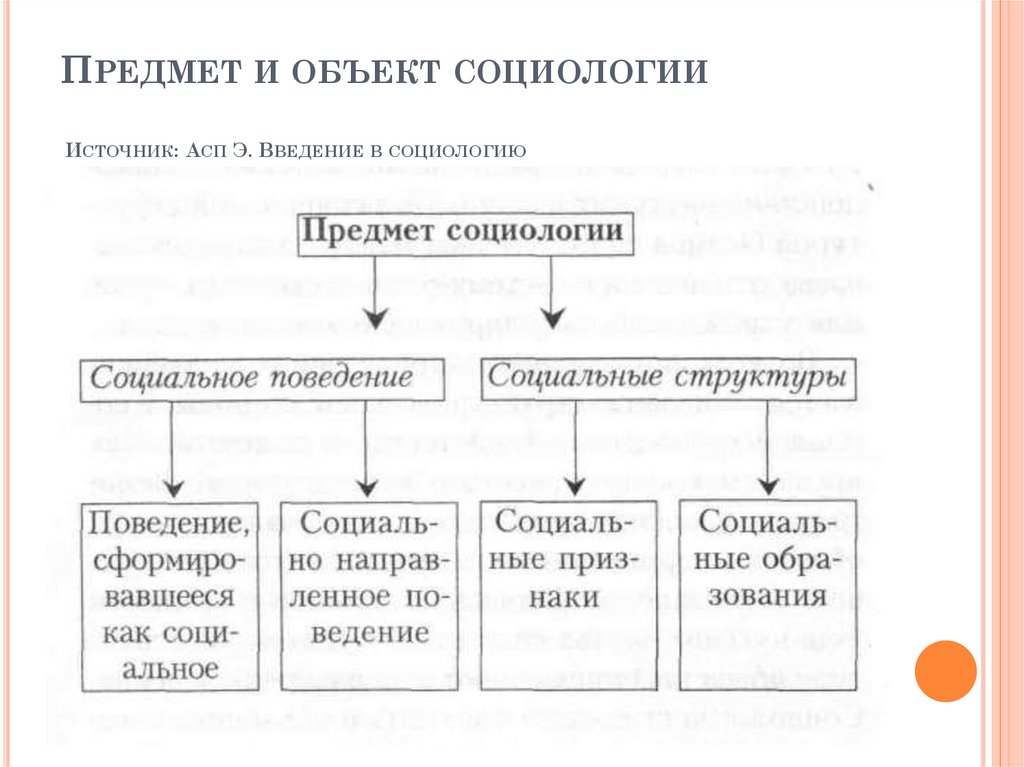 Предмет Социологии Картинки