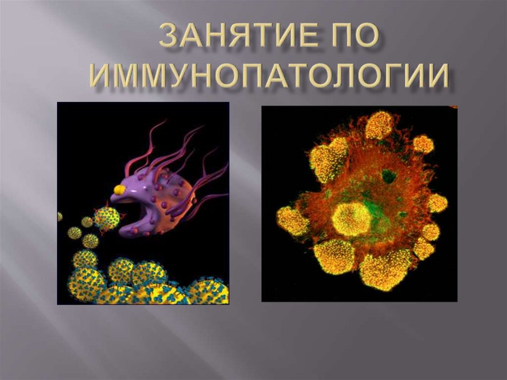 2 иммунопатология. Иммунопатология. Иммунопатология картинки. Immunopatologiya haqida malumot.