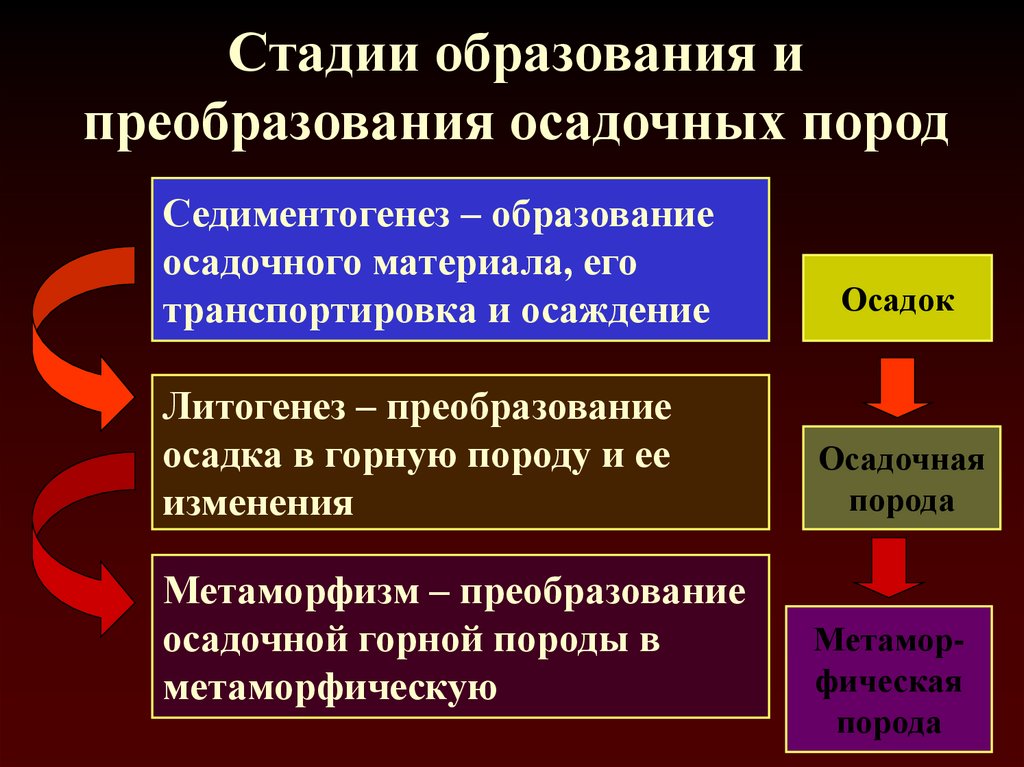 Степени обучения. Стадии образования осадка. Стадии формирования осадочных пород. Стадии образования осадочных горных пород. Стадии образования осадка химия.