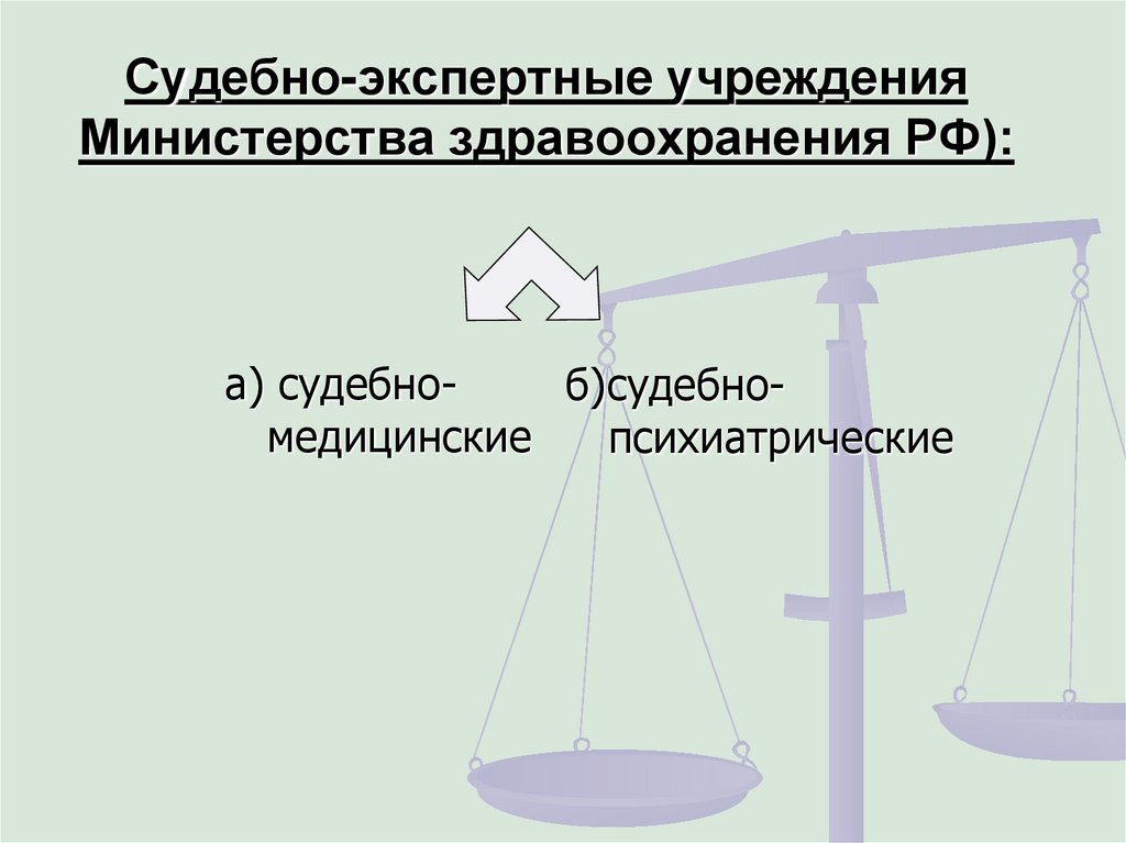 Проблемы судебно экспертной деятельности. Экспертная организация.