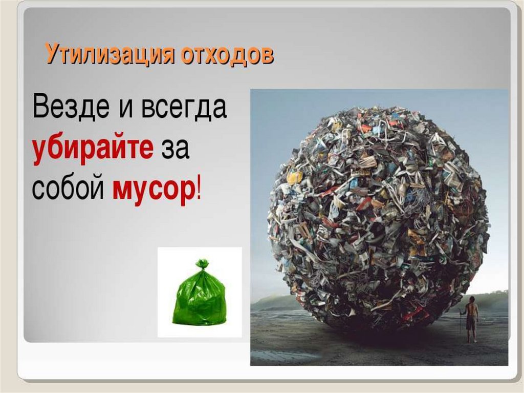 Презентация проблемы мусора