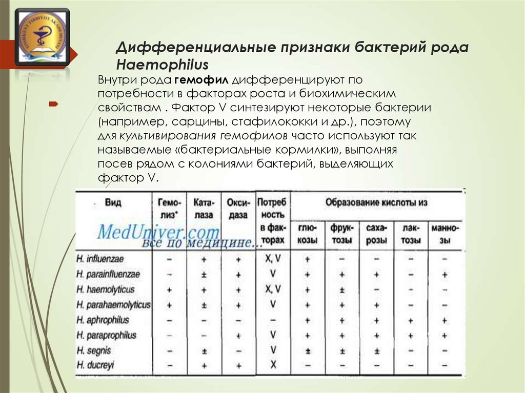 Haemophilus spp в мазке у мужчины. Дифференциальные признаки бактерий. Дифференциальные признаки микроорганизмов. Дифференциальные признаки микроорганизмов б. Дифференциальный признаки микроорганизмов бактерий.