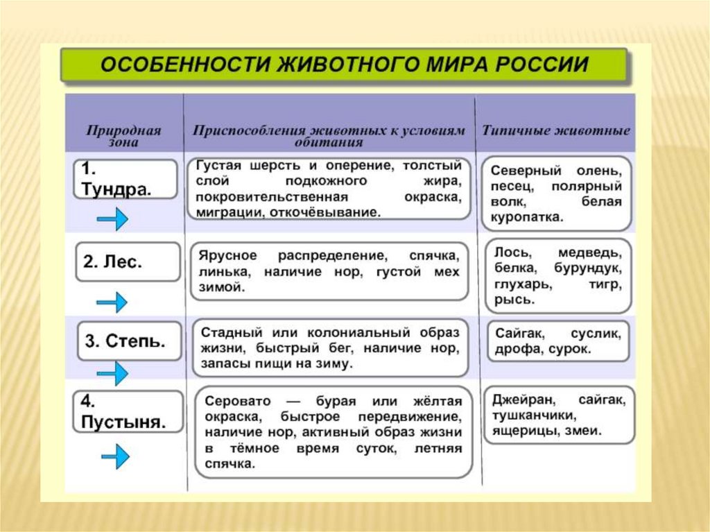 Приспособление животных к природным зонам