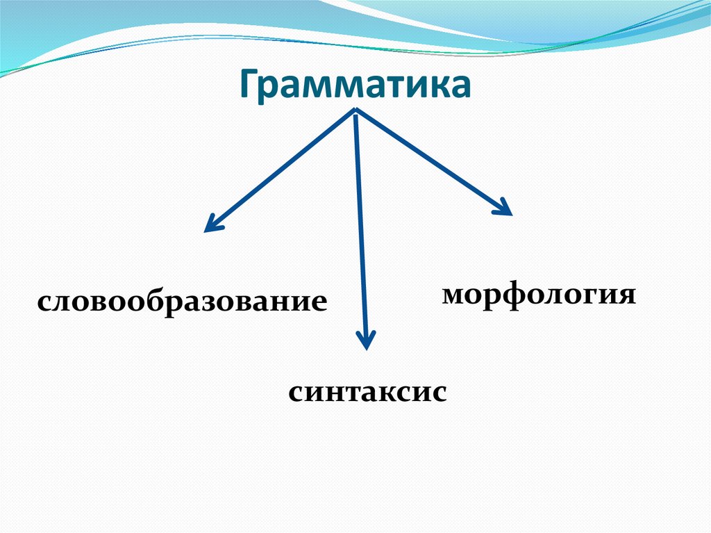 Разделы грамматики