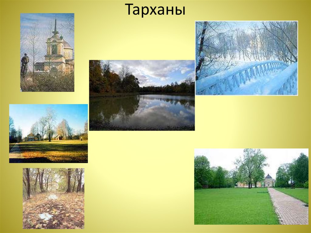 Тарханы