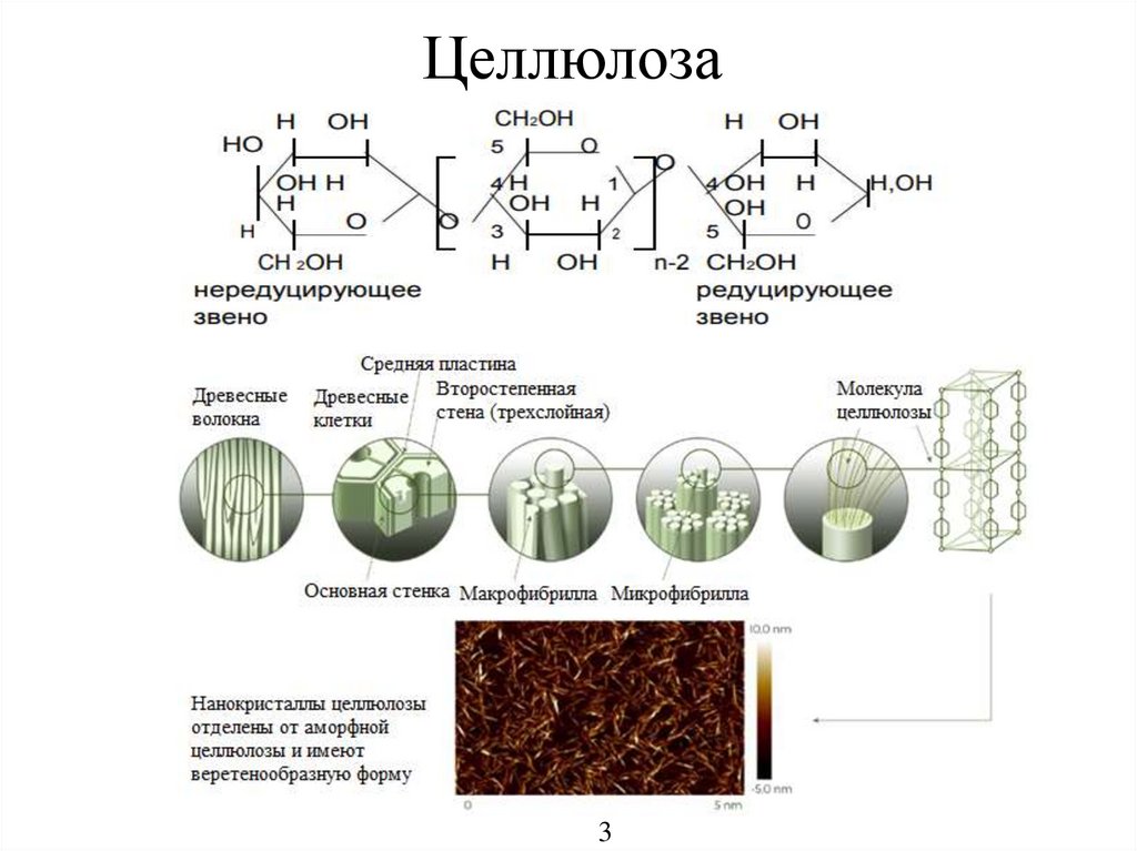 Схема применения целлюлозы