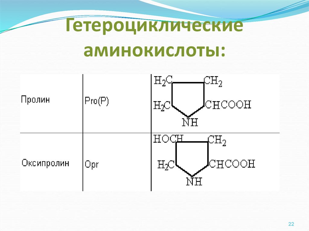 Гетероциклические аминокислоты: