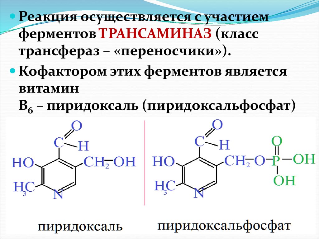 Реакция с участием фермента. Пиридоксальфосфат кофермент витамина в6. Реакции с участием витамина в6 схема. Коферменты трансфераз. Витамин b6 кофермент.