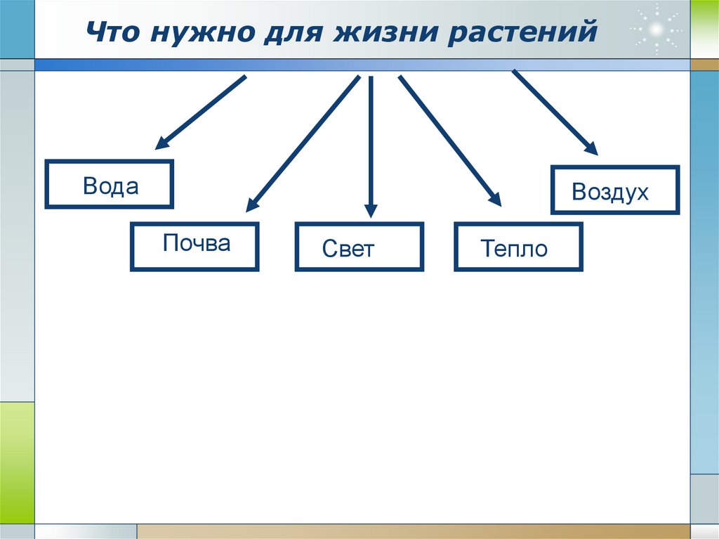 Схема условия роста растений