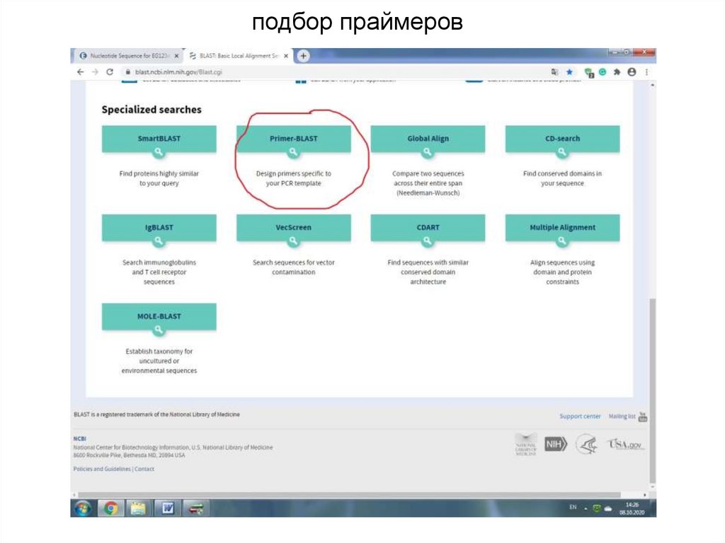 подбор праймеров