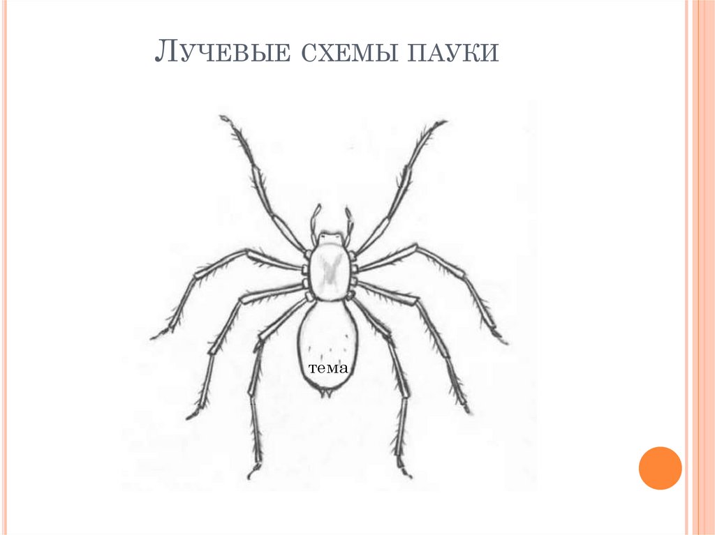 Технологии визуализации и систематизации текстовой информации лучевые схемы пауки и каузальные цепи