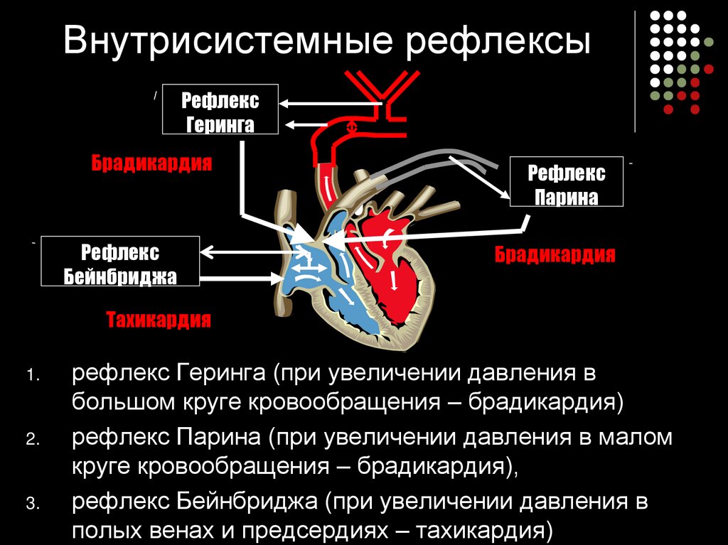 Центр безусловно рефлекторной регуляции кровяного давления. Рефлекс Геринга физиология сердца. Рефлекс Чермака-Геринга физиология. Схемы кардиальный рефлекс парина. Рефлекс Бейнбриджа регуляция.