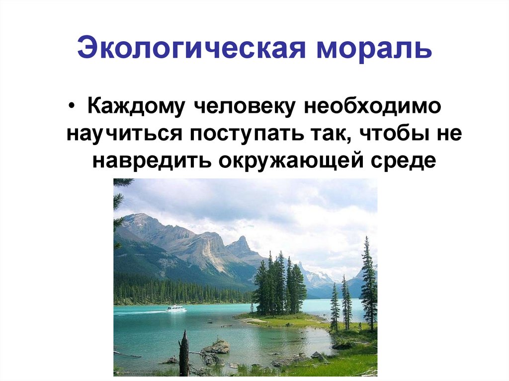 Окружающее нравственный. Экологическая мораль.