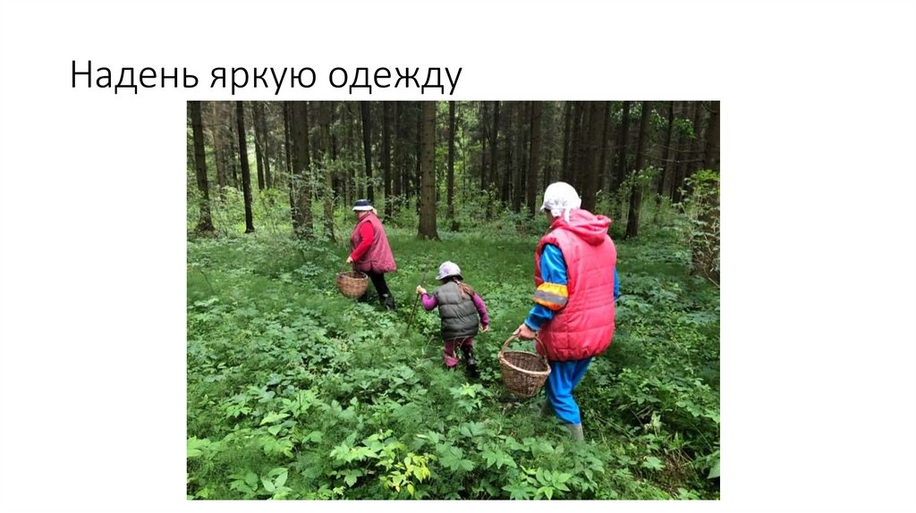 Надень яркую одежду