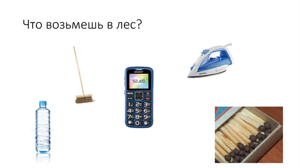Что возьмешь в лес?