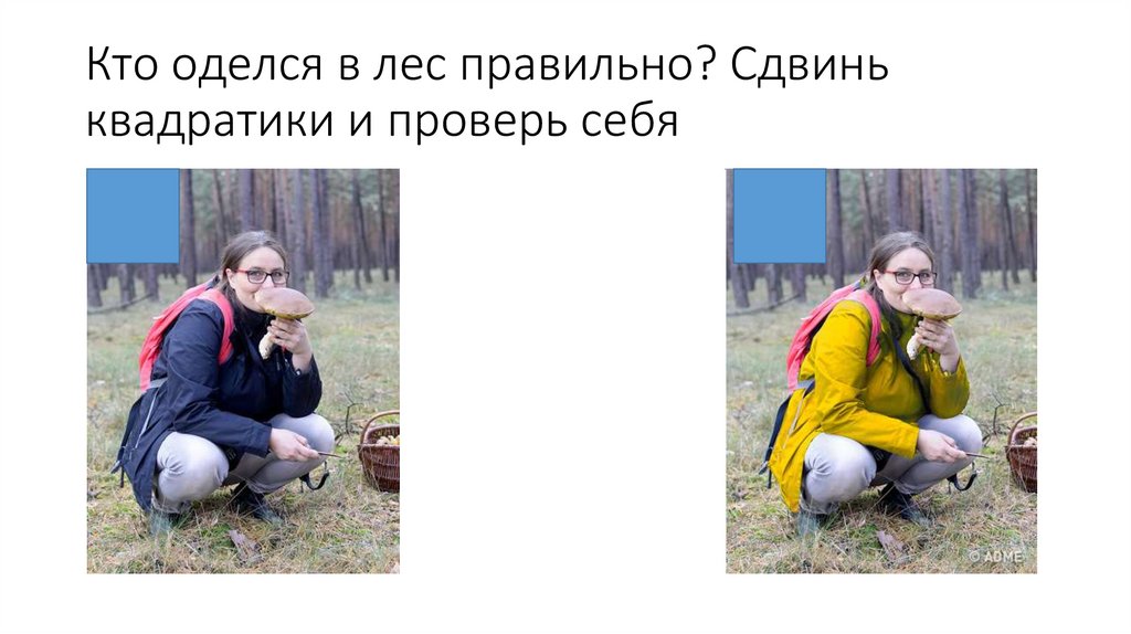 Кто оделся в лес правильно? Сдвинь квадратики и проверь себя