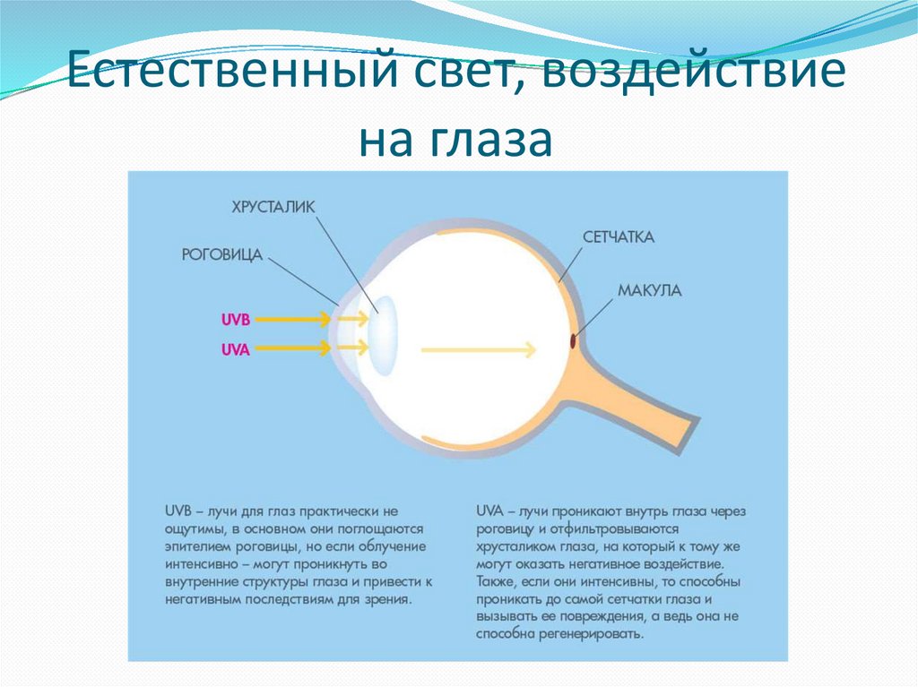 Воздействие света