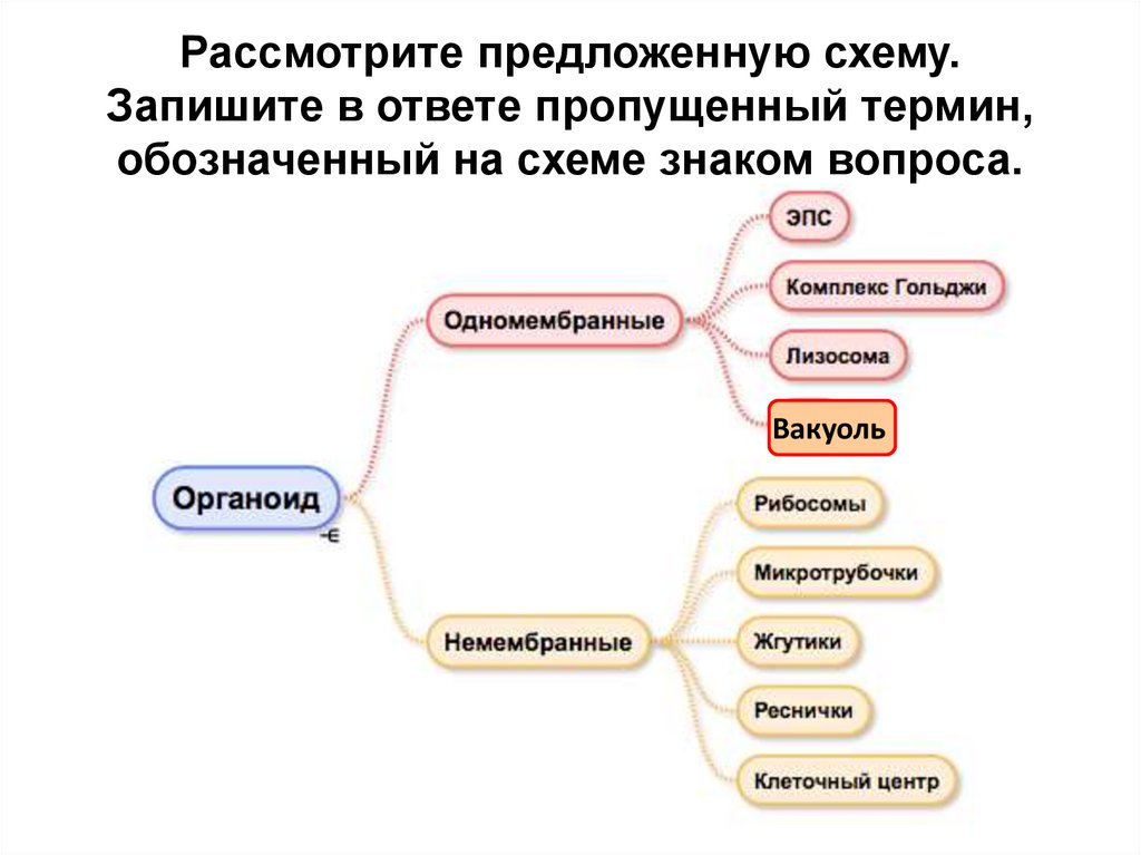 Выберите термин не обозначающий схему