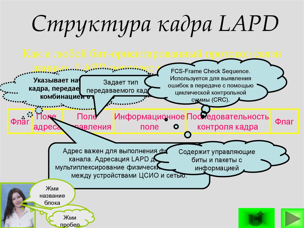 Структура кадра LAPD