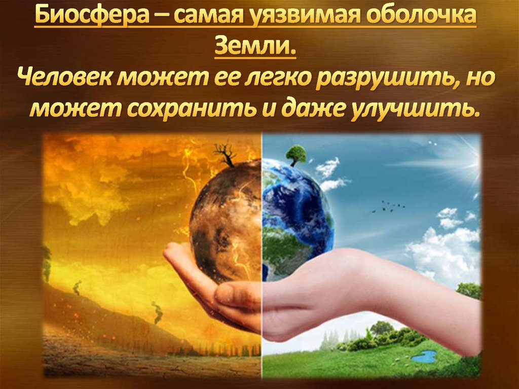 Биосфера – самая уязвимая оболочка Земли. Человек может ее легко разрушить, но может сохранить и даже улучшить.