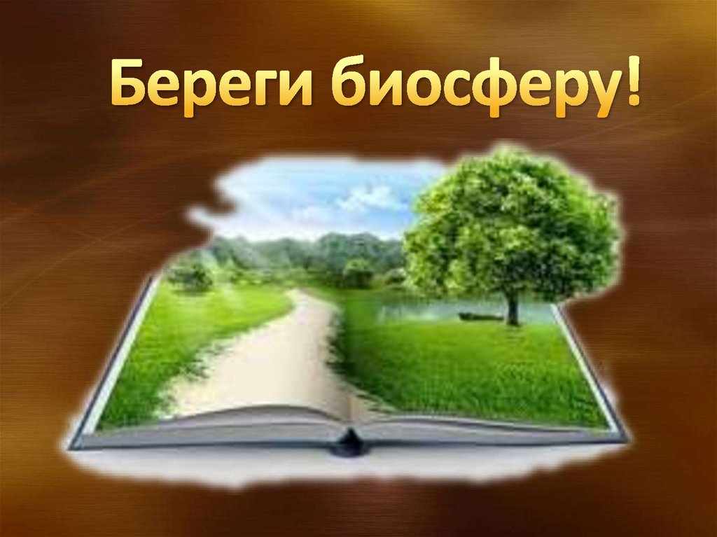 Береги биосферу!