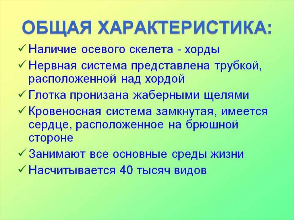 Типа кратко. Тип Хордовые характеристика кратко. Общая характеристика хордовых. Характеристика типа Хордовые. Общая характеристика типа хордовых.