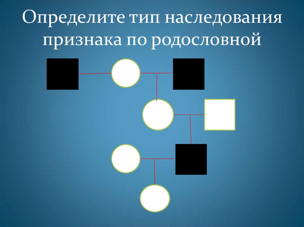 Изучение наследования признаков по родословной проект