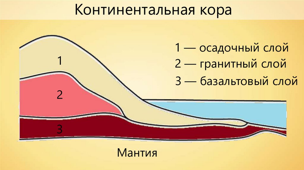 Континентальная х. Осадочный слой земной коры. Строение океанической земной коры. Строение Континентальной коры.