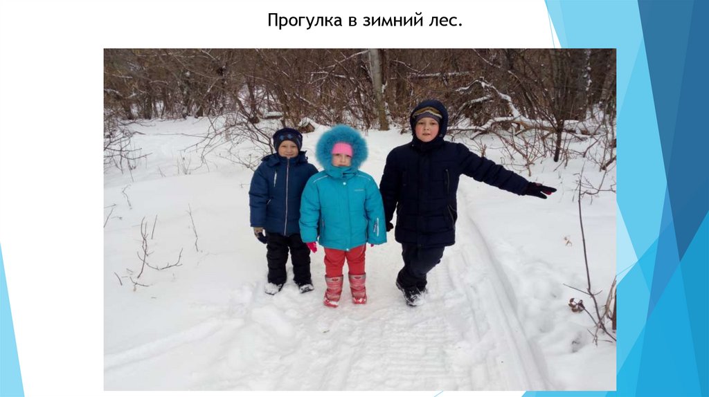 Прогулка в зимний лес.