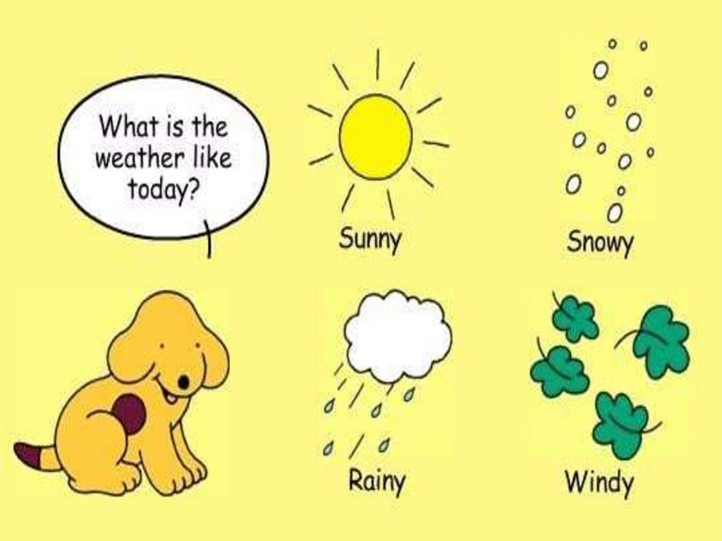 1 what is the weather like today. What the weather like today. What is the weather like today. What`s is the weather like. Today the weather like today.