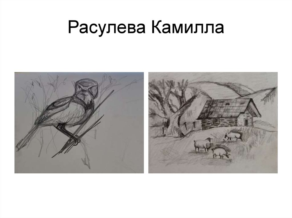 Расулева Камилла