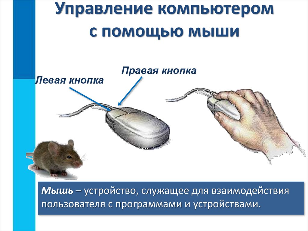 Мышь и другие устройства управления компьютером презентация