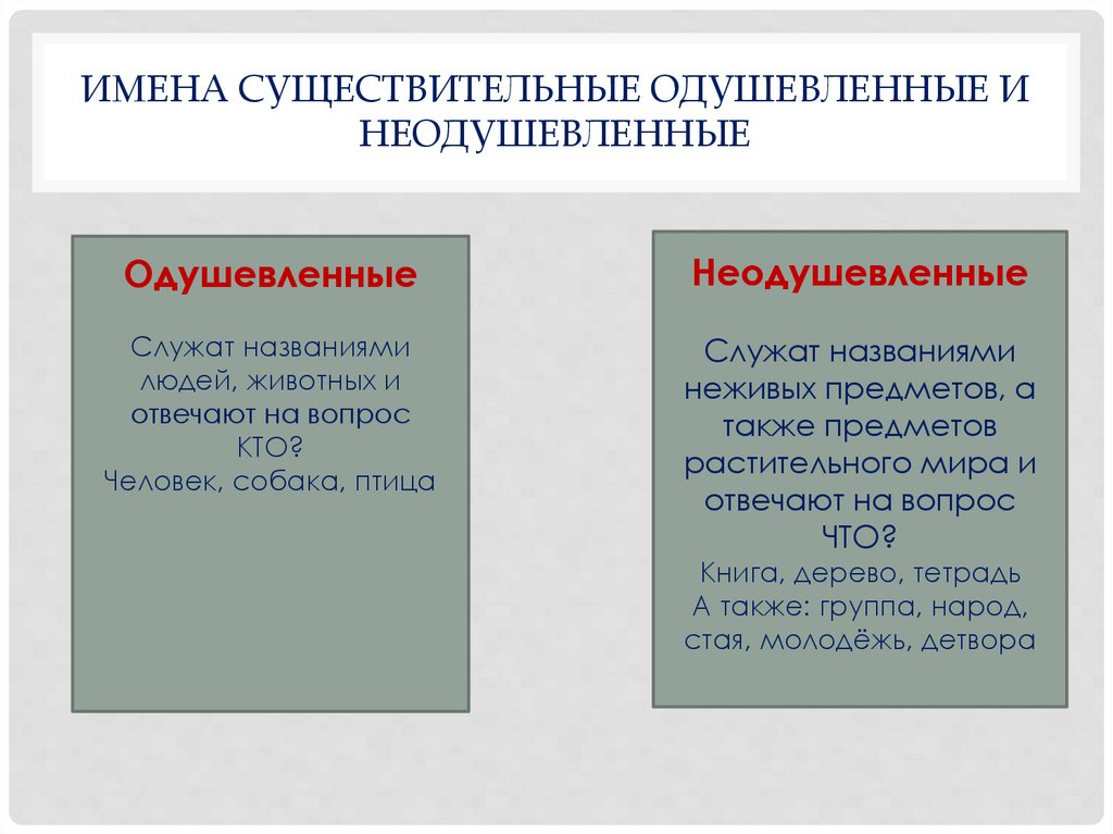 Имена существительные одушевленные и неодушевленные