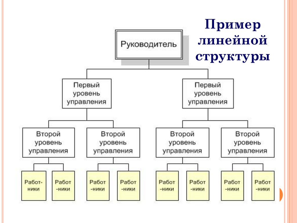 Органы управления организацией являются