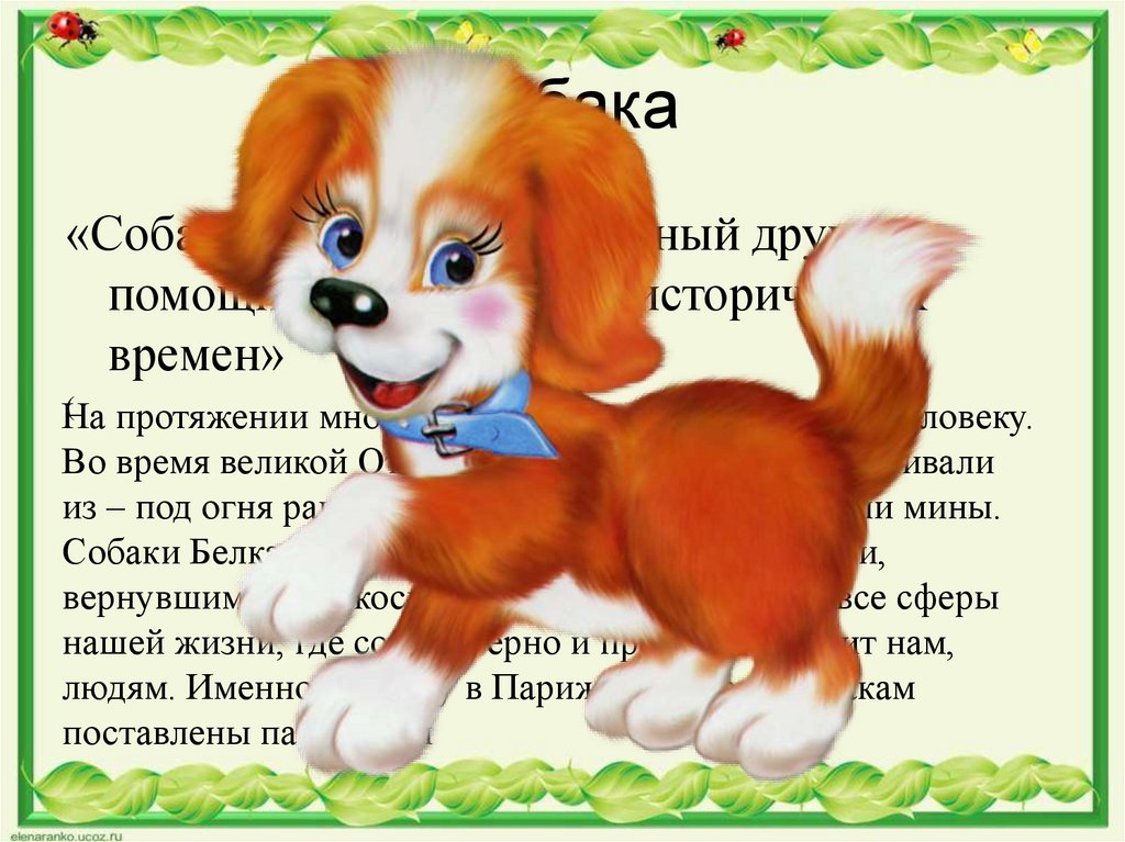 Описание собаки 5 класс русский язык. Сочинение про собаку. Сочинение про щенка. Описание любимого животного собаки. Описание собаки сочинение.