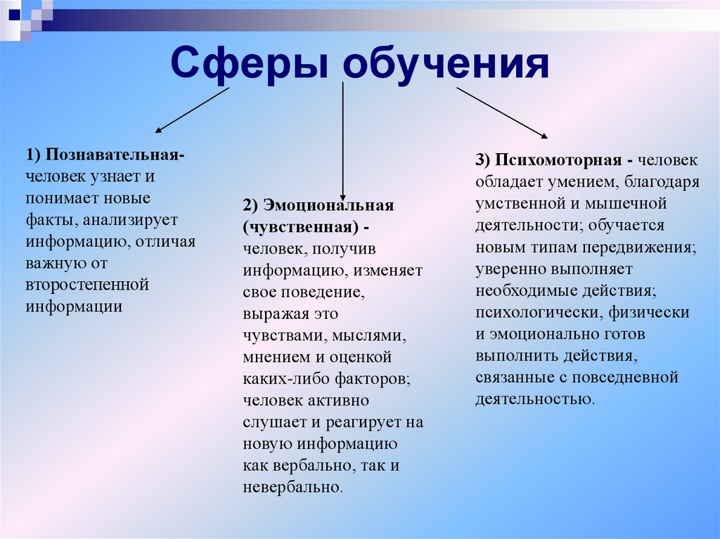 Учебная сфера. Сферы обучения. 2.Сферы обучения.. Сфера обучения. Человек обладает умениями.. Сферы учебы.