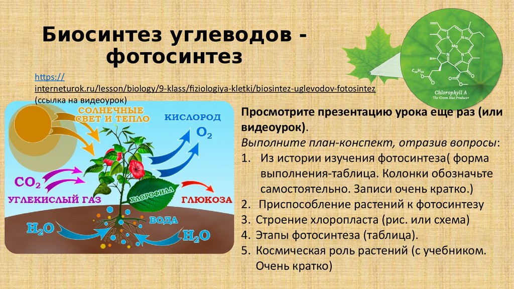 Сообщение на тему фотосинтез 6 класс. Формула фотосинтеза у растений. Процесс фотосинтеза в биосфере выполняет прежде всего:. Z схема фотосинтеза у растений. Какая Ботаническая наука изучает процесс фотосинтеза.