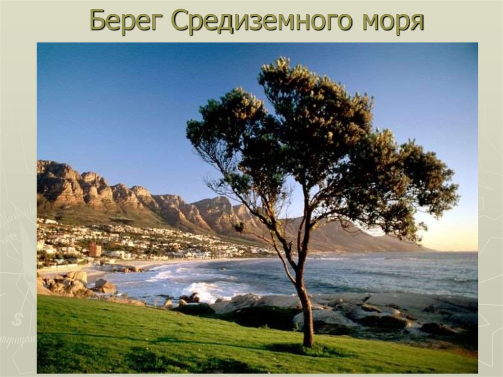 Берег Средиземного моря