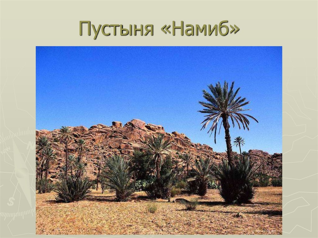 Приокеаническая пустыня. Арт объект Египет.