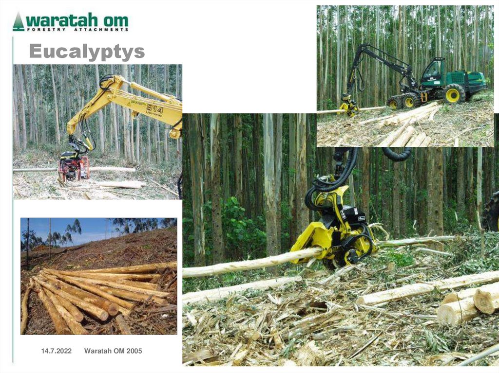 T300, Grabbing parameters