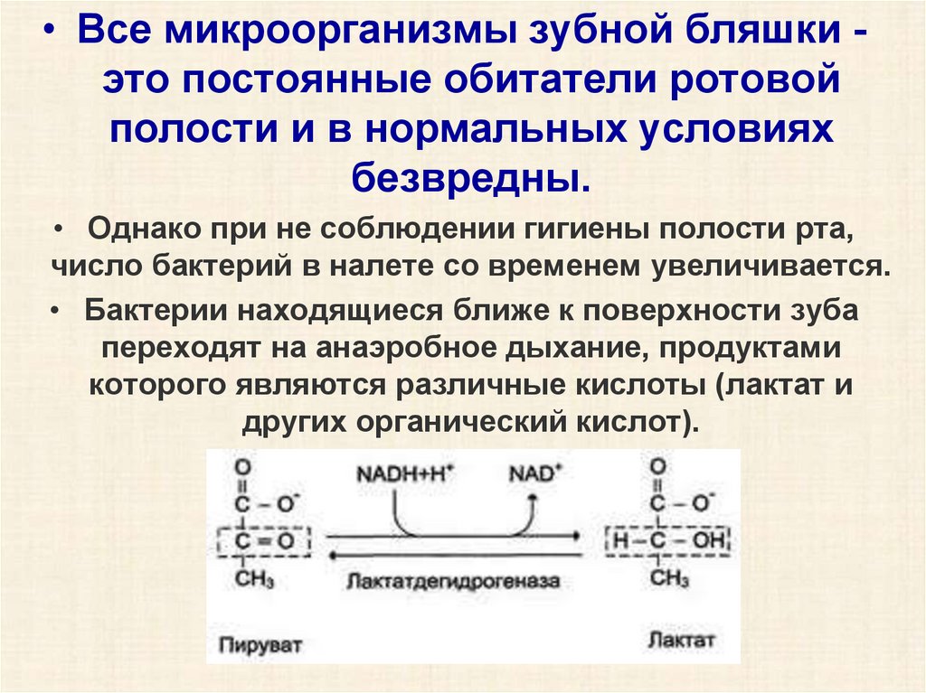 Презентация биохимия полости рта