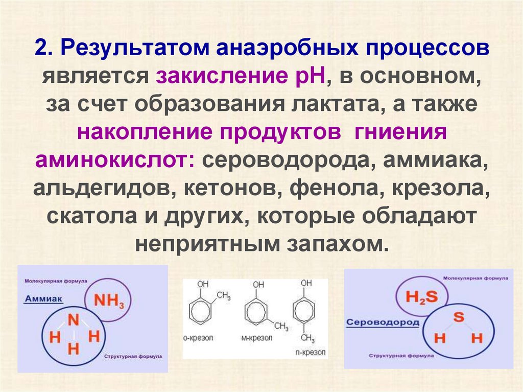 Результатом процесса является. Анаэробный процесс. Электронная и структурная формула сероводорода. Образование сероводорода из аминокислот. Строение сероводорода структурная формула.