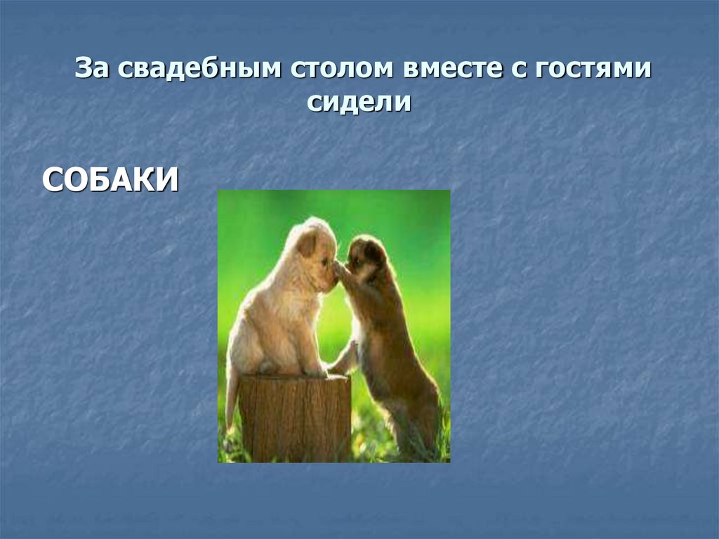 За свадебным столом вместе с гостями сидели