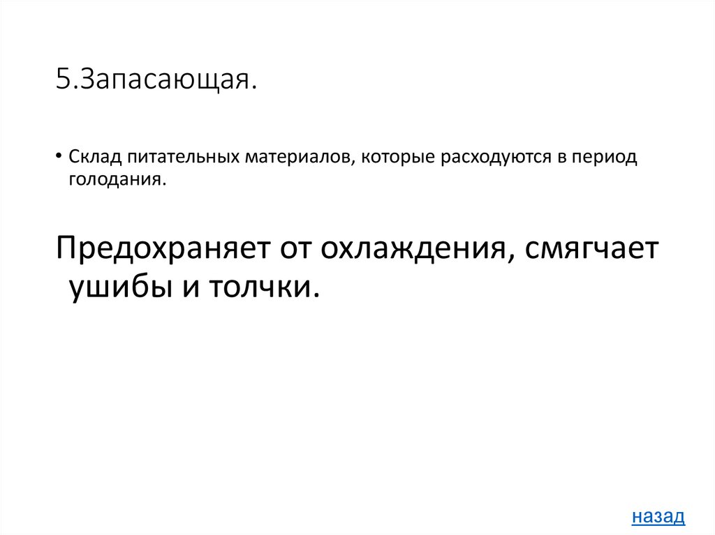 5.Запасающая.
