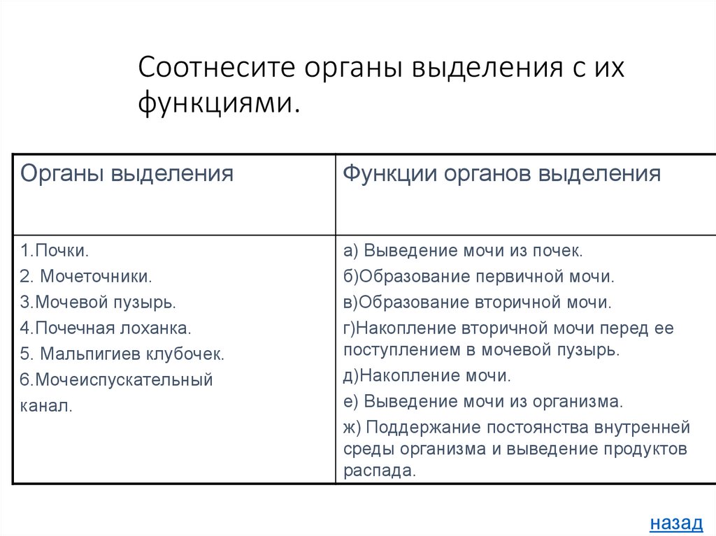 Соотнесите органы выделения с их функциями.