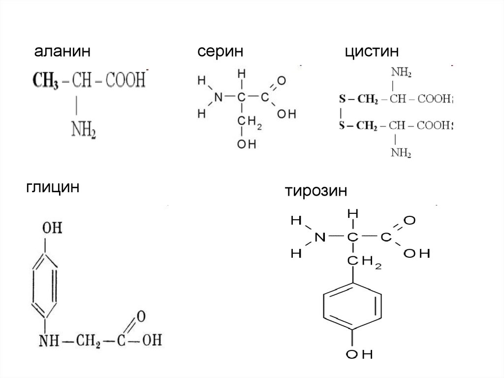 Глицин серин дипептид. Глицин аланин серин. Трипептид глицина аланина и Серина. Трипептид аланинлизинсерин. Глицин аланин Валин серин цистеин.